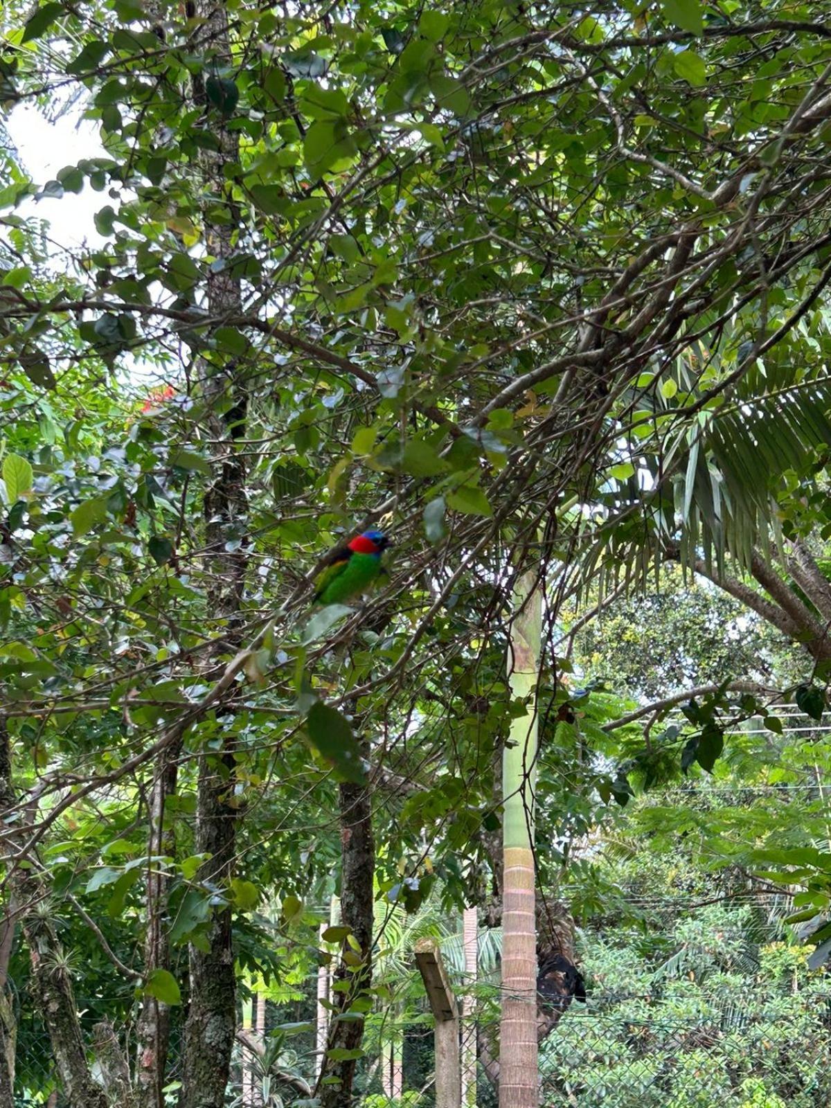 Glamping Do Estaleiro Balneario Camboriu